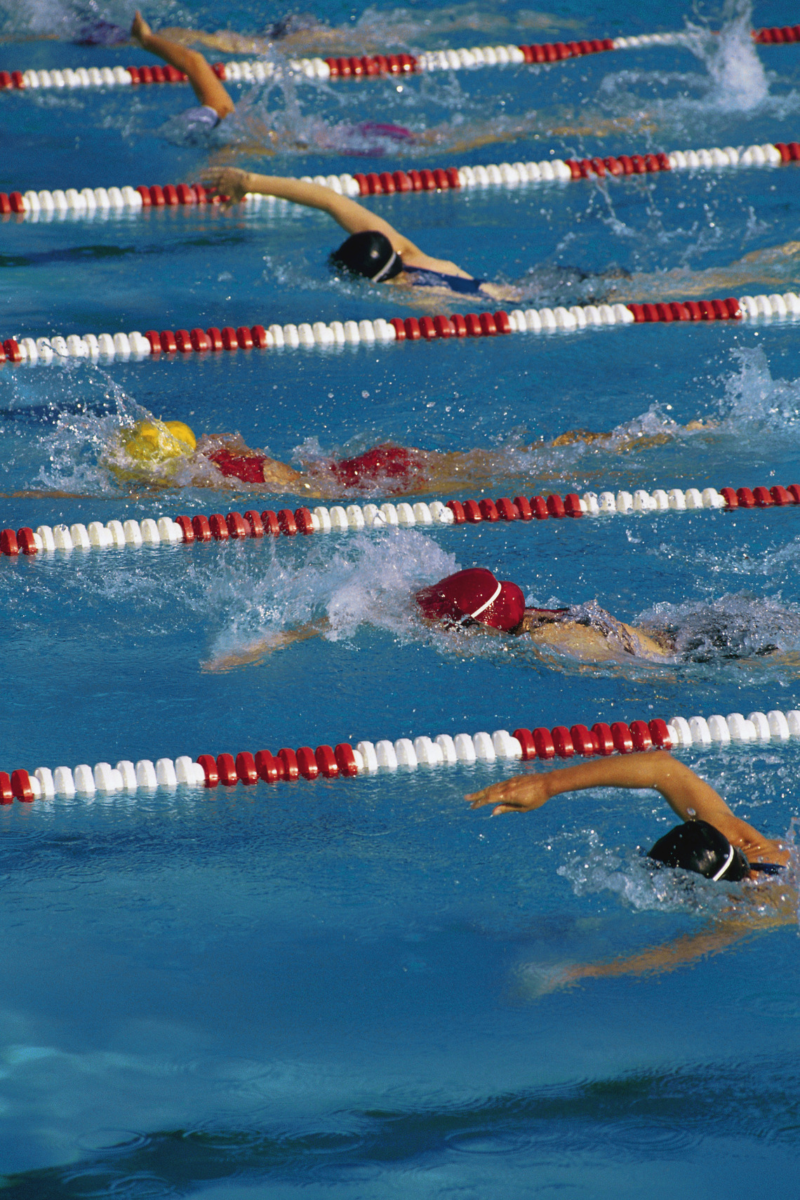 Swimmers in lanes