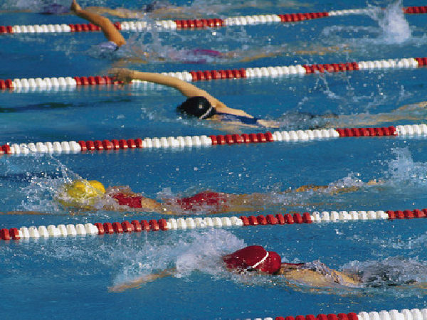 Swimmers in lanes